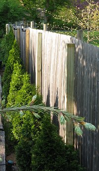 Two new fenceposts on this end and three on the other still await lantern installation and maybe more. Click for bigger photo.