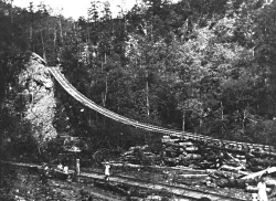 A hanging bridge on the Little River Railroad.  Sorry, but the museum has taken the original photo off their web page.